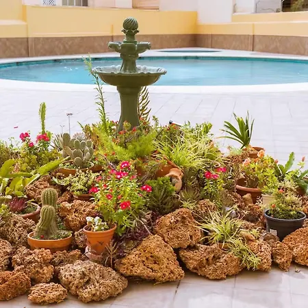 Sunset Sunny Verdiales Terrace & Sea Views דירה